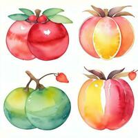 waterverf fruit clip art foto