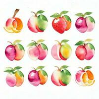 waterverf fruit clip art foto