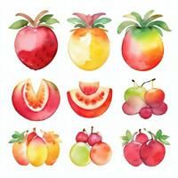 waterverf fruit clip art foto