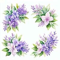 waterverf lila bloemen clip art foto