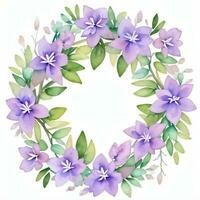 waterverf lila bloemen clip art foto