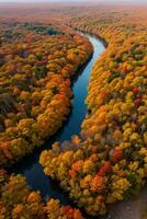 foto van de herfst Woud dar visie