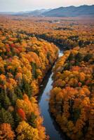 foto van de herfst Woud dar visie