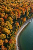 foto van de herfst Woud dar visie