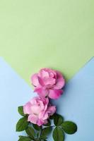 lege mockup kaart met bloemen en planten