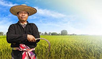 boer in het rijstveld foto