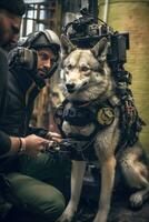 wolf schor hond bioscoop operator steadycam videograaf achter de schermen fotografie film foto