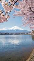 Japan zen landschap panorama visie fotografie sakura bloemen pagode vrede stilte toren muur foto