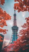 Japan zen tokyo TV toren landschap panorama visie fotografie sakura bloemen pagode vrede stilte foto