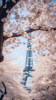 Japan zen tokyo TV toren landschap panorama visie fotografie sakura bloemen pagode vrede stilte foto