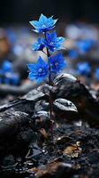 eenzaam blauw bloem Woud vredig landschap vrijheid tafereel mooi natuur behang scherm foto