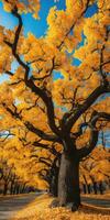 herfst oranje boom vallend vredig landschap vrijheid tafereel mooi natuur behang foto