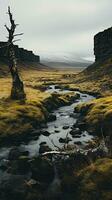 kalmte genade landschap zen harmonie rust uit rust eenheid harmonie fotografie foto