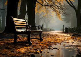 herfst bladeren oranje kalmte genade landschap zen harmonie rust eenheid harmonie fotografie foto