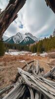 Woud rivier- stilte kalmte genade landschap harmonie rust uit rust eenheid harmonie fotografie foto