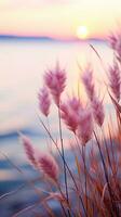 bloemen focus zonsondergang kalmte genade landschap zen harmonie rust eenheid harmonie fotografie foto