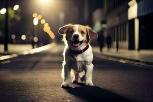 een hond staand Aan de straat Bij nacht. ai-gegenereerd foto
