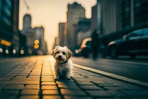 een klein hond is staand Aan een straat in de stad. ai-gegenereerd foto