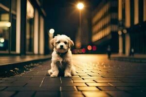 een klein hond zittend Aan de trottoir Bij nacht. ai-gegenereerd foto