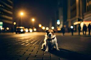 een hond zittend Aan de grond in de midden- van een stad Bij nacht. ai-gegenereerd foto