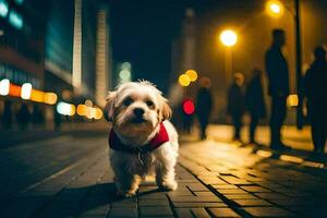 een klein hond vervelend een rood hesje staand Aan een straat Bij nacht. ai-gegenereerd foto