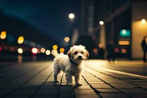 een klein hond staand Aan een straat Bij nacht. ai-gegenereerd foto