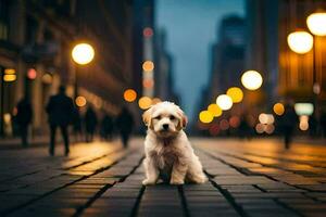 een klein wit hond zittend Aan de straat in voorkant van een stad. ai-gegenereerd foto