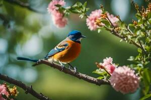 een blauw en oranje vogel zittend Aan een Afdeling met roze bloemen. ai-gegenereerd foto