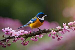 een blauw en wit vogel zit Aan een Afdeling van een boom. ai-gegenereerd foto