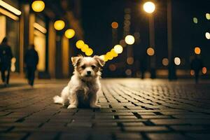 een klein hond zittend Aan de straat Bij nacht. ai-gegenereerd foto