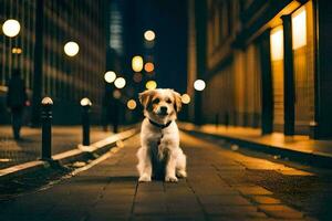 een hond zittend Aan de straat Bij nacht. ai-gegenereerd foto