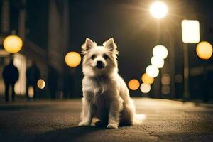 een wit hond zittend Aan de straat Bij nacht. ai-gegenereerd foto