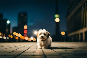 een klein hond is staand Aan een steen weg Bij nacht. ai-gegenereerd foto