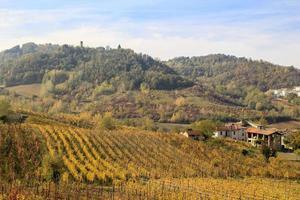 wijngaarden en landschap van het achterland van piemonte, italië foto