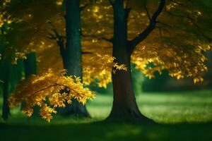 foto behang bomen, de zon, herfst, de bomen, de bomen, de bomen, de. ai-gegenereerd