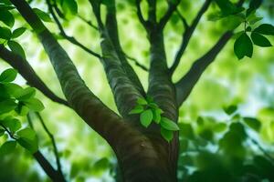 een boom met groen bladeren en een helder zon. ai-gegenereerd foto