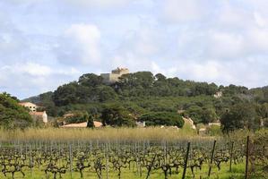 het groene en landelijke achterland van het eiland Porquerolles foto