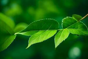 een dichtbij omhoog van een blad Aan een boom. ai-gegenereerd foto