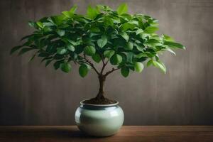 bonsai boom in een pot Aan een tafel. ai-gegenereerd foto