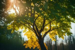 een boom met geel bladeren in de zon. ai-gegenereerd foto