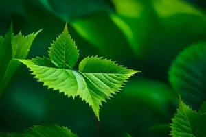 een blad is getoond in de midden- van een groen Woud. ai-gegenereerd foto
