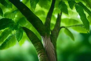 een dichtbij omhoog van een boom met groen bladeren. ai-gegenereerd foto