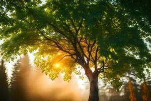 foto behang bomen, de zon, bomen, de zon, bomen, de zon, bomen,. ai-gegenereerd