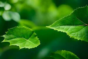 groen bladeren in de Woud. ai-gegenereerd foto