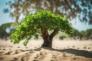 een klein boom groeit in de zand. ai-gegenereerd foto