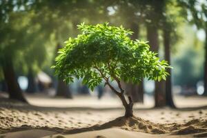 een klein boom groeit in de zand. ai-gegenereerd foto