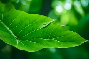 een dichtbij omhoog van een groen blad in de midden- van een Woud. ai-gegenereerd foto