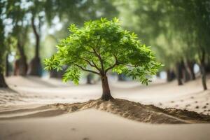 een klein boom groeit uit van de zand in de midden- van een Woud. ai-gegenereerd foto