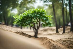 een klein boom groeit uit van de zand in de midden- van een Woud. ai-gegenereerd foto