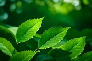 groen bladeren Aan een boom. ai-gegenereerd foto